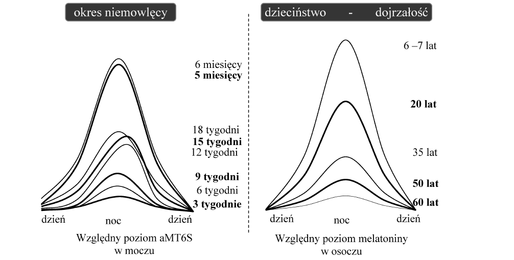 Poziomy melatoniny