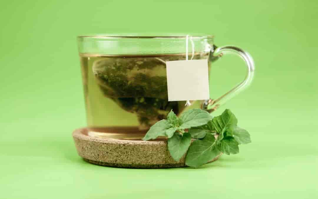 Ile razy dziennie można pić zieloną herbatę?