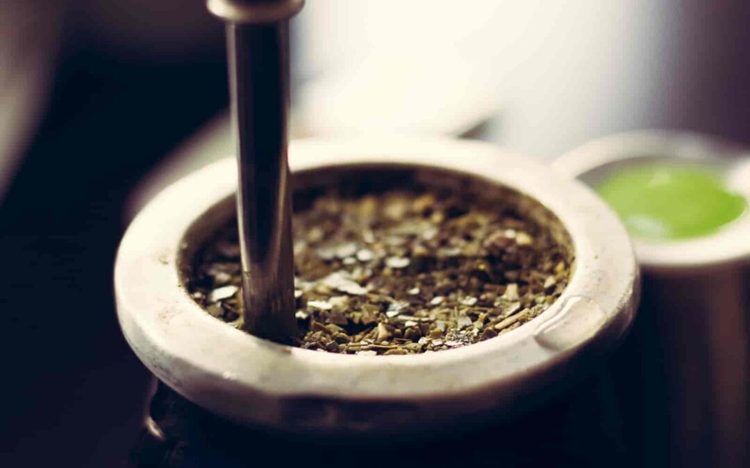 Yerba mate – tradycyjny napój Ameryki Południowej