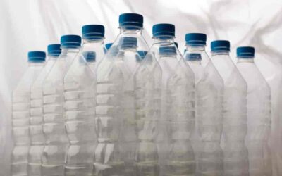 Plastik, ksenoestrogeny, BPA i ich wpływ na zdrowie