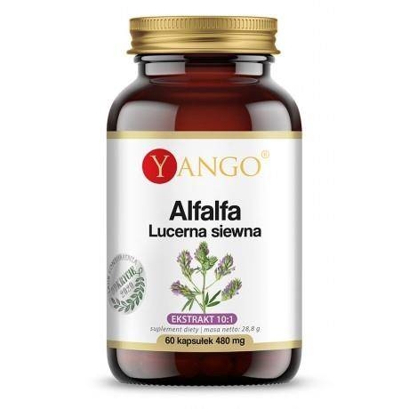 alfalfa - lucerna siewna (60 kaps.)