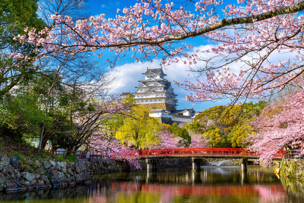 Jakie kosmetyki warto kupić w Japonii?