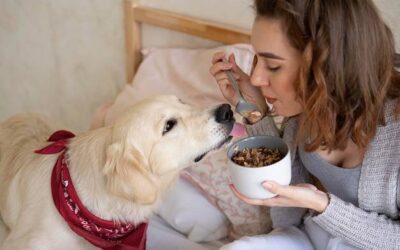 Czym karmić psa alergika żeby czuł się dobrze?