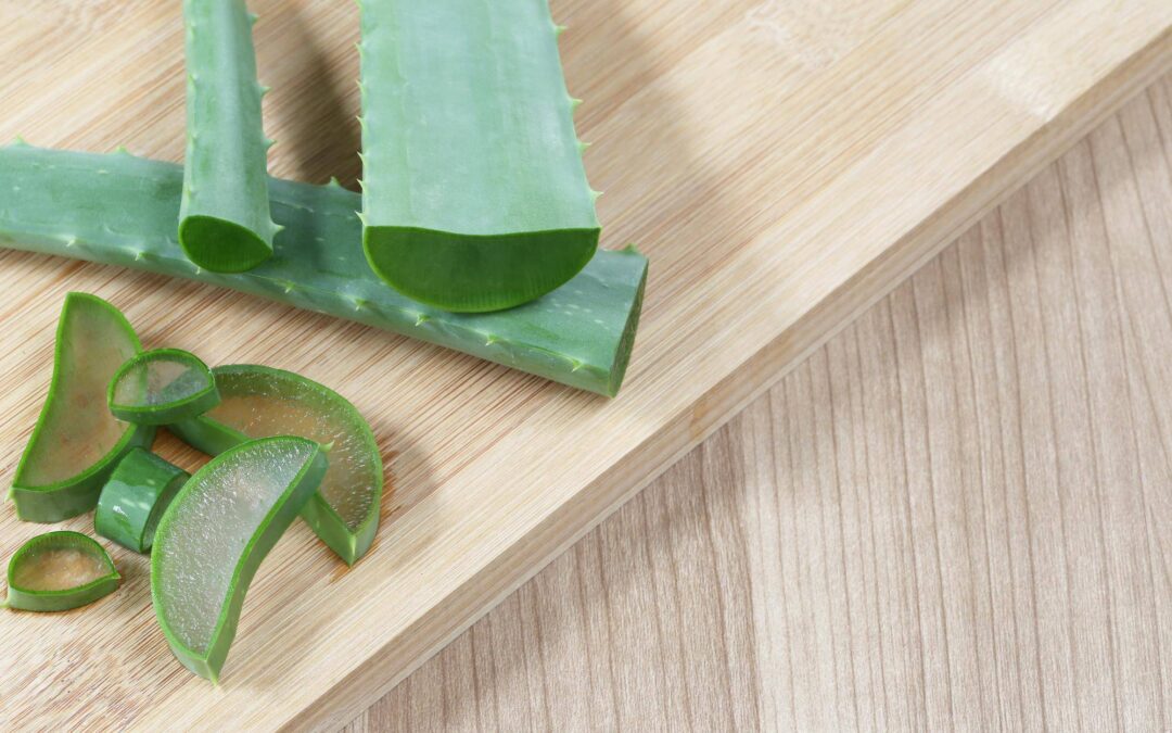 Aloes domowy jak używać w codziennej pielęgnacji?