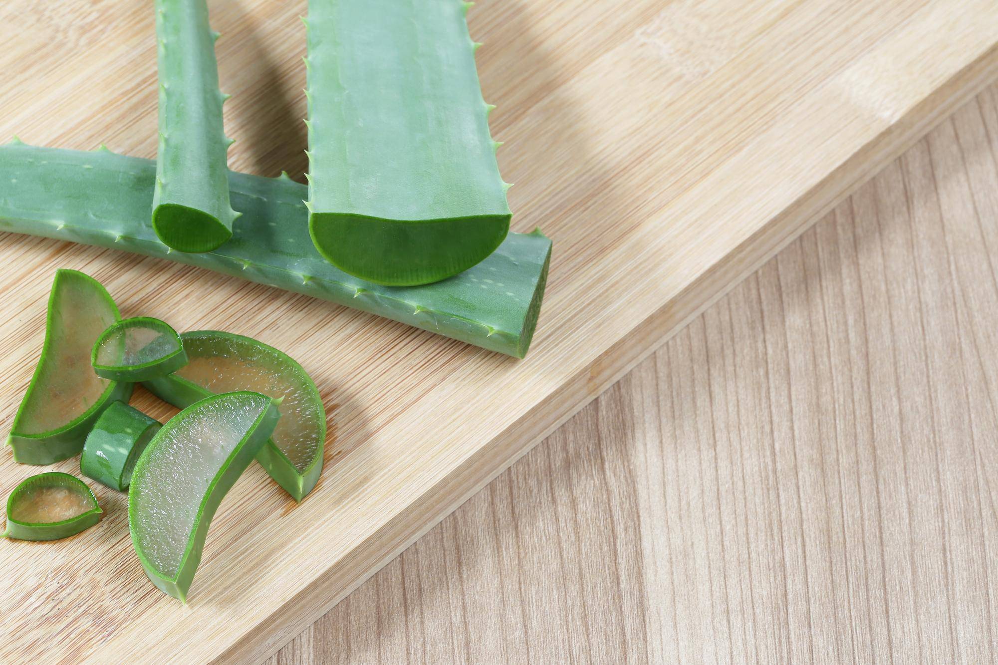 Aloes domowy jak używać w codziennej pielęgnacji?