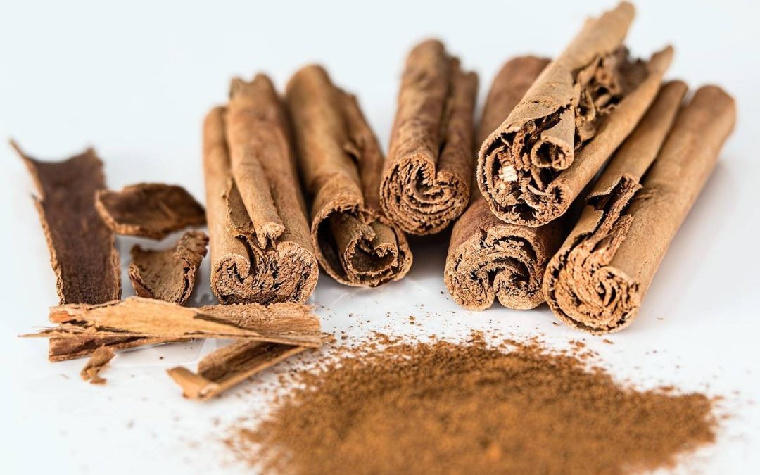 Henna pudrowa czym się różni od tradycyjnej henny?